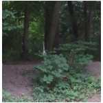puntwildlife4.jpg